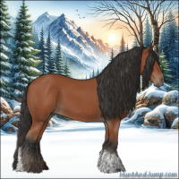 Horse Color:Bay Tobiano Rabicano 