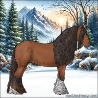 Horse Color:Bay Tobiano Rabicano 