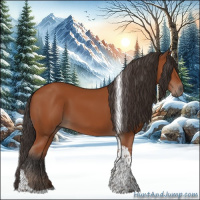 Horse Color:Bay Tobiano Rabicano 