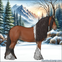 Horse Color:Bay Tobiano Rabicano 