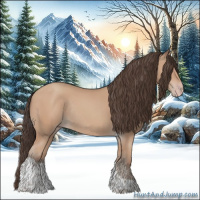 Horse Color:Amber Champagne Tobiano Rabicano 
