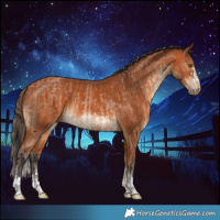 Horse Color:Brown Pearl and Bay