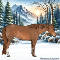 Horse Color:Chestnut  and Chestnut 