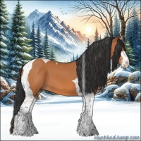 Horse Color:Bay Sabino Tobiano 