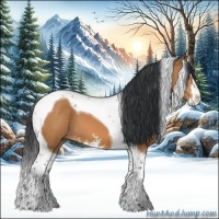 Horse Color:Bay Sabino Tobiano 