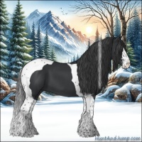Horse Color:Black Sabino Tobiano 