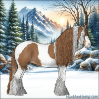 Horse Color:Chestnut Sabino Tobiano 