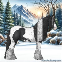 Horse Color:Black Sabino Tobiano 
