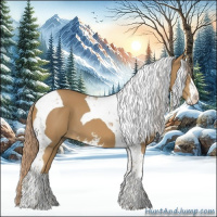 Horse Color:Chestnut Sabino Tobiano 