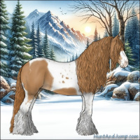 Horse Color:Chestnut Sabino Tobiano 