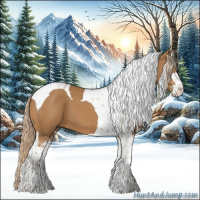 Horse Color:Chestnut Sabino Tobiano 