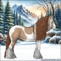 Horse Color:Red Dun Sabino Tobiano 