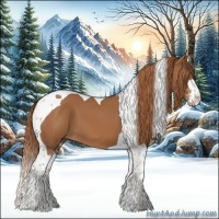 Horse Color:Chestnut Sabino Tobiano 