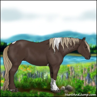Horse Color:Liver Chestnut Tobiano 