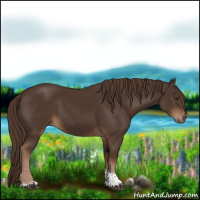 Horse Color:Liver Chestnut Tobiano 