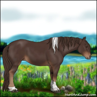 Horse Color:Liver Chestnut Tobiano 
