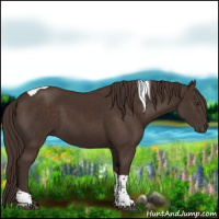 Horse Color:Liver Chestnut Tobiano 