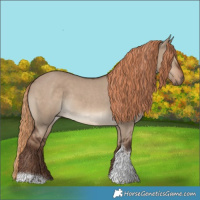Horse Color:Liver Red Dun Tobiano