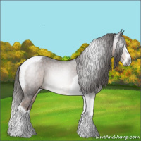 Horse Color:Gray Liver Chestnut Splash Tobiano Varnish 