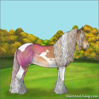 Horse Color:Chocolate Palomino Tobiano 