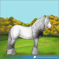 Horse Color:Gray Brown Tobiano