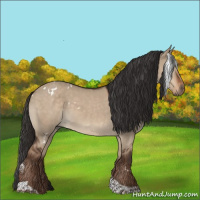 Horse Color:White Spotted Liver Red Dun Tobiano 