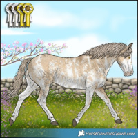 Horse Color:Chocolate Palomino Dun Sabino Rabicano 
