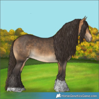 Horse Color:Buckskin Tobiano 