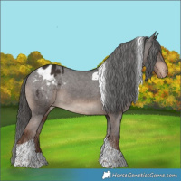 Horse Color:Liver Chestnut Tobiano Varnish Rabicano 