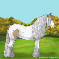 Horse Color:Chocolate Palomino Dun Splash Tobiano 