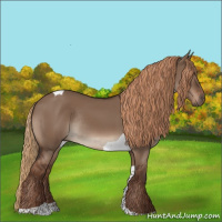 Horse Color:Liver Red Dun Tobiano Rabicano 