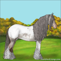 Horse Color:Liver Red Dun Tobiano Appaloosa 