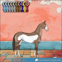 Horse Color:Liver Red Dun Frame 