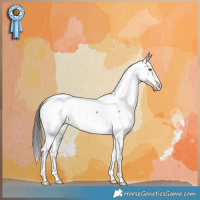 Horse Color:Liver Red Dun Appaloosa Brindle 