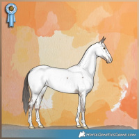 Horse Color:Liver Red Dun Appaloosa Brindle 