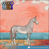 Horse Color:Liver Red Dun Appaloosa 