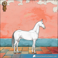 Horse Color:Liver Chestnut Appaloosa 