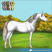 Horse Color:Chestnut Splash Fewspot 