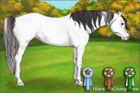 Horse Color:Bay Roan Splash Fewspot 