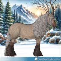 Horse Color:Silver Brown Dun 