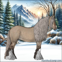 Horse Color:Silver Brown Dun 