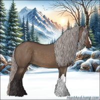 Horse Color:Silver Brown Dun 