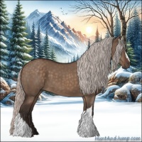 Horse Color:Silver Brown Dun