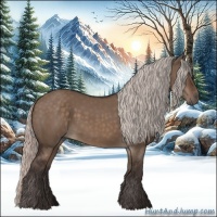 Horse Color:Silver Brown Dun 