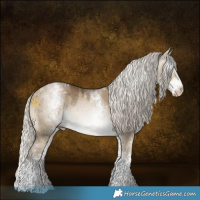 Horse Color:Gray White Spotted Silver Buckskin Pearl Dun Brindle 