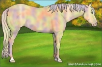 Horse Color:Nacre Gold Cream Champagne Sabino 