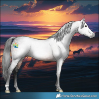 Horse Color:Gray Brown 