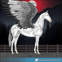 Horse Color:Blue Roan Splash Near Leopard 