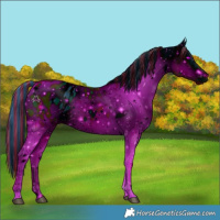Horse Color:ERROR: UNKNOWN ANOMALY