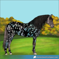 Horse Color:Void Watercolor Chestnut Near Leopard 